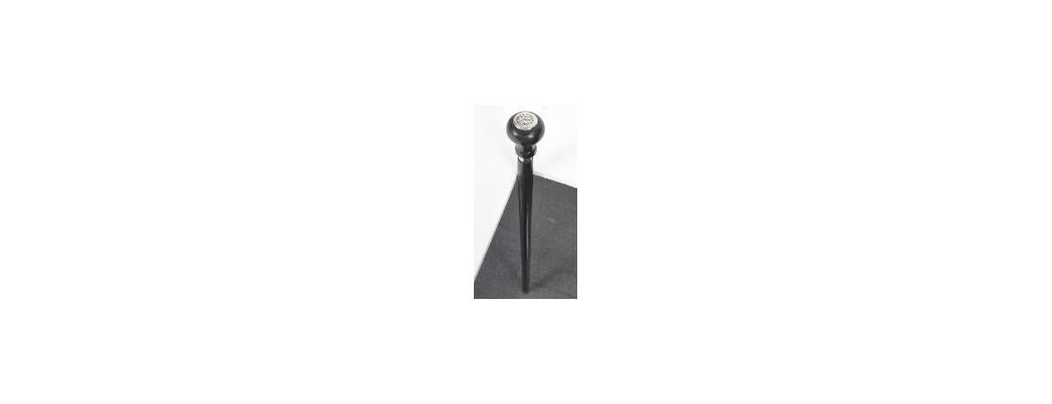 Mini Cooper Logo Walking Stick