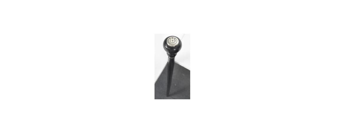 BMW Logo Walking Stick