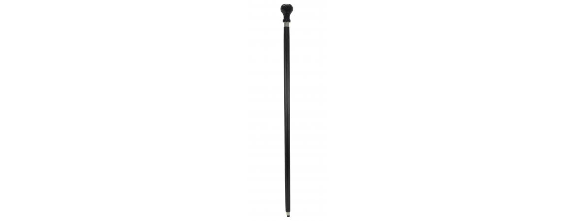 Lamborghini Walking Stick