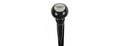 Aston Martin Walking Stick